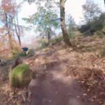 Hornissen-Trail Video im Herbst
