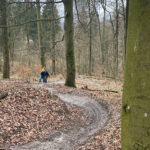 Frühjahrsputz #2 | Hornissen-Trail
